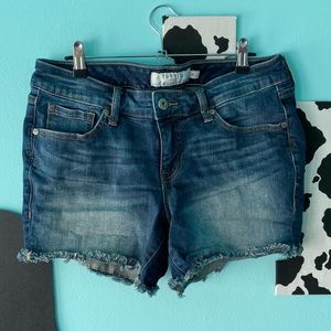 Torrid Shorts
